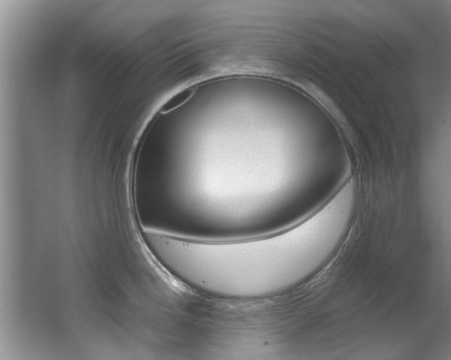 X0000062651246200512211025