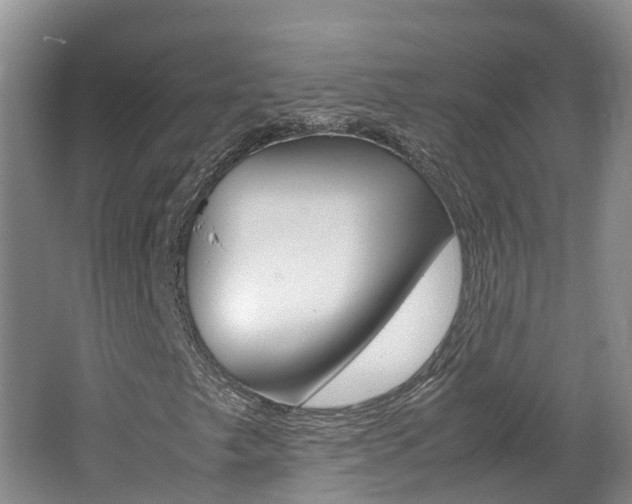 X0000062651249200512211025