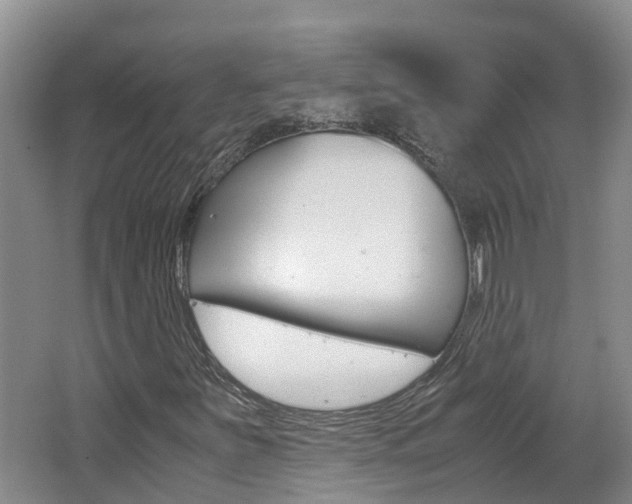 X0000062651251200512211025