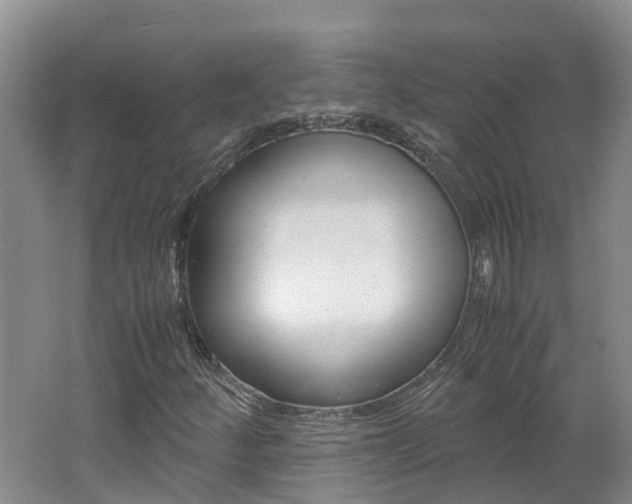 X0000062651252200512211025