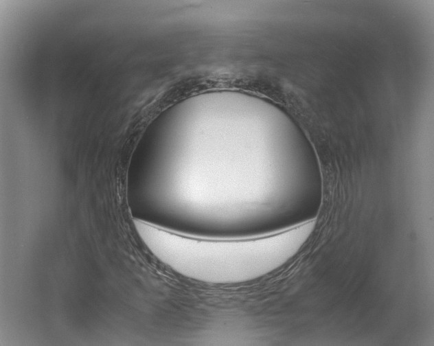 X0000062651253200512211025