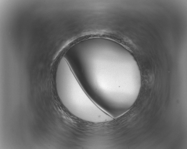 X0000062651256200512211025
