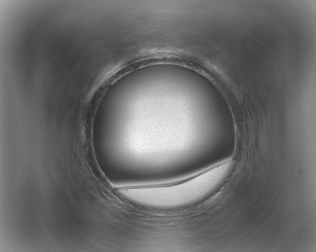 X0000062651261200512211024