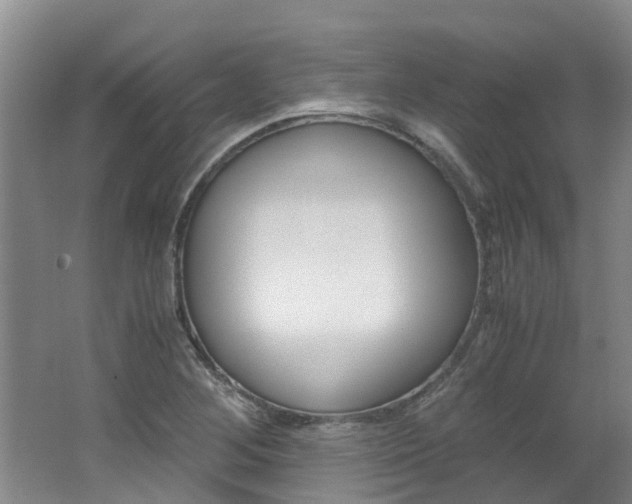 X0000062651268200512211024