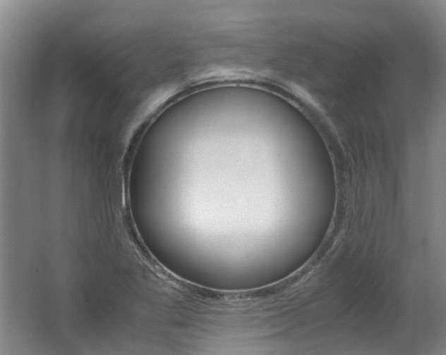 X0000062651269200512211024