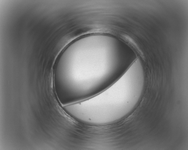 X0000062651276200512211024