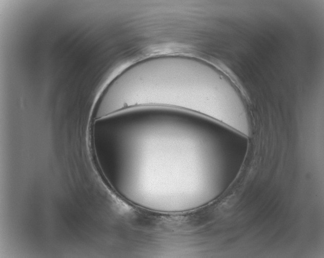 X0000062651285200512211024