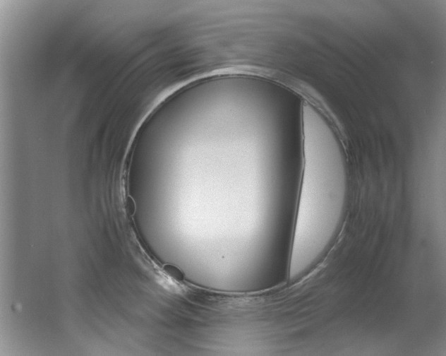 X0000062651292200512211024