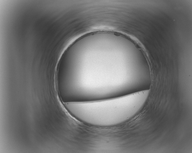 X0000062651295200512211024