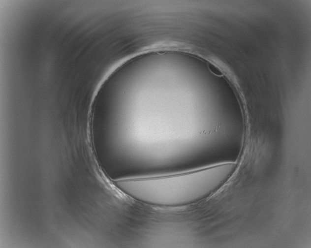 X0000062651296200512211024