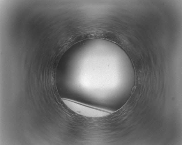X0000062651298200512211023