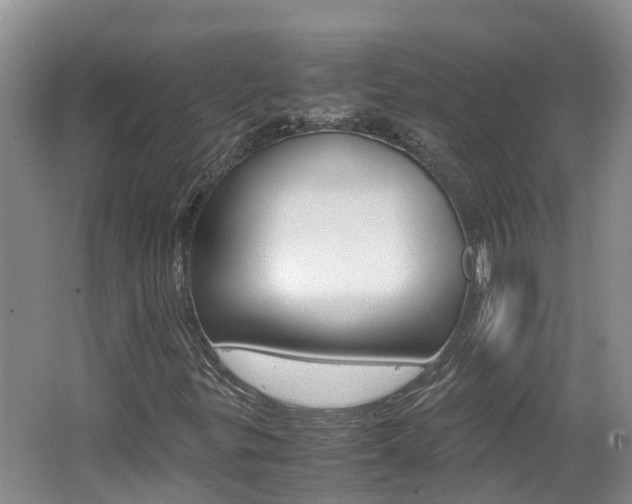 X0000062651299200512211023