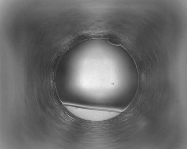 X0000062651300200512211023