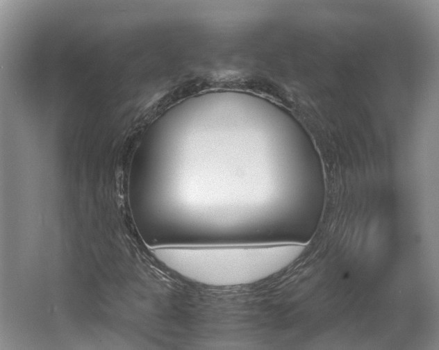 X0000062651301200512211023