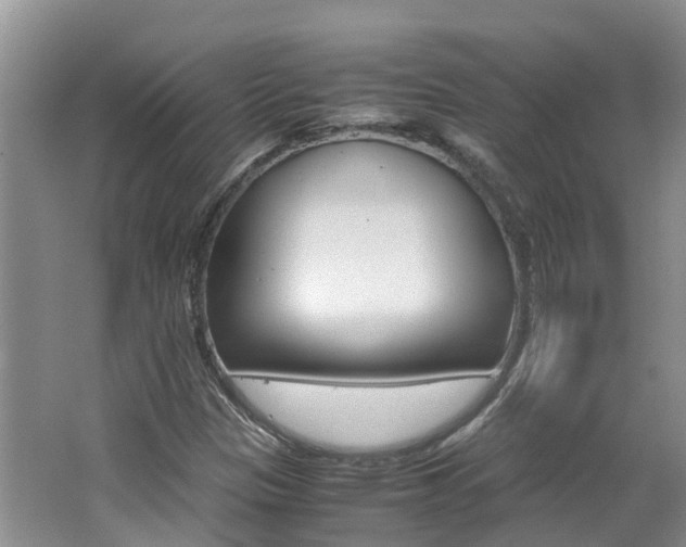 X0000062651305200512211023