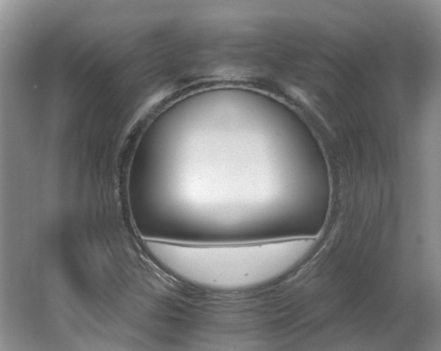 X0000062651307200512211023