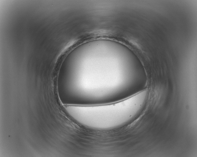 X0000062651309200512211023