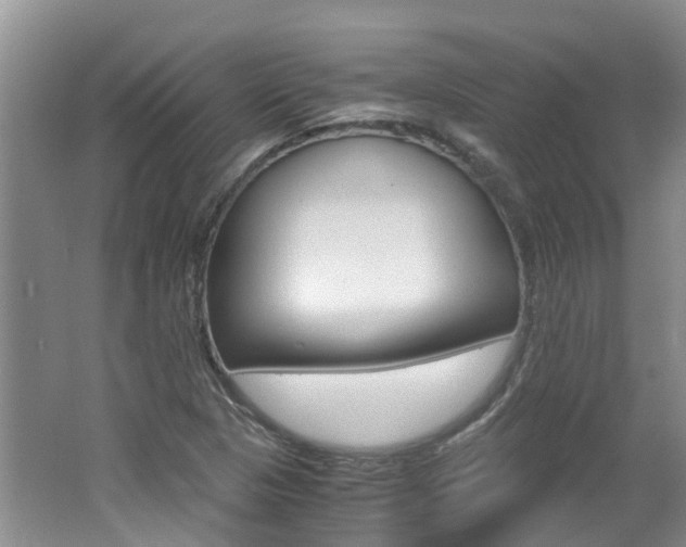 X0000062651313200512211023