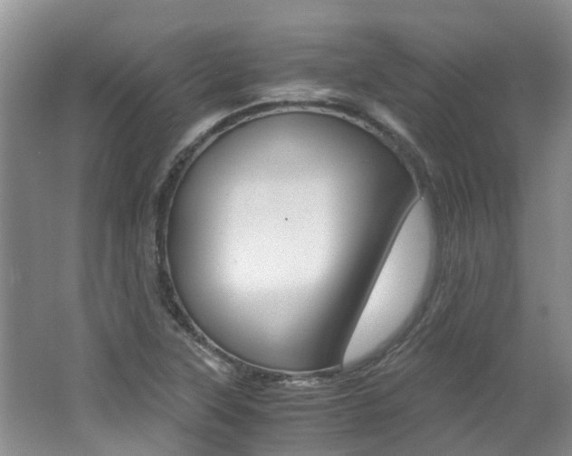 X0000062651315200512211023