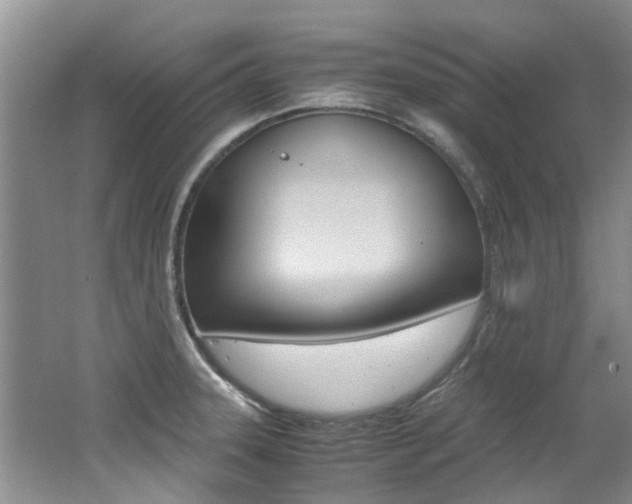 X0000062651331200512211024