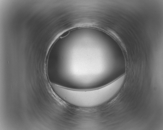 X0000062651340200512211024