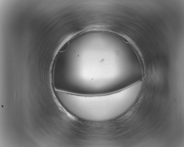 X0000062651341200512211024