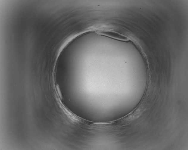 X0000062651344200512211024