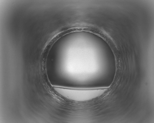 X0000062651352200512211023