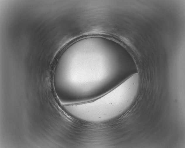 X0000062651356200512211023