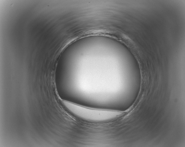 X0000062651361200512211023