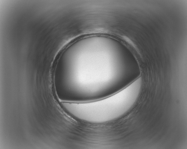 X0000062651364200512211023