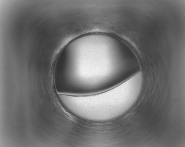 X0000062651367200512211023