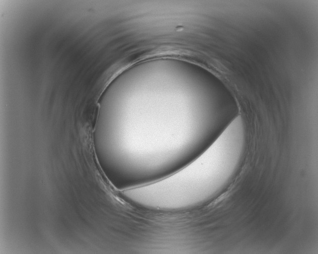 X0000062651369200512211023