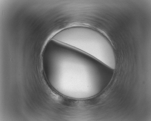 X0000062651371200512211023