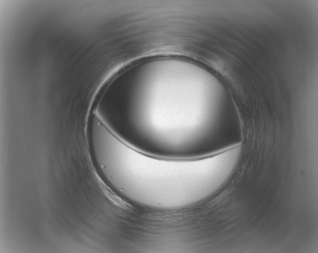 X0000062651372200512211023