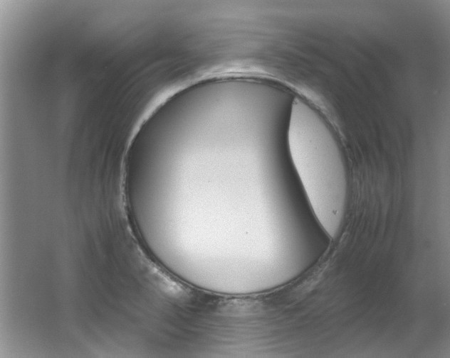 X0000062651374200512211022