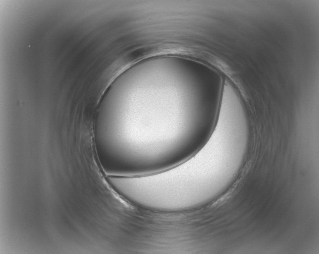 X0000062651377200512211022