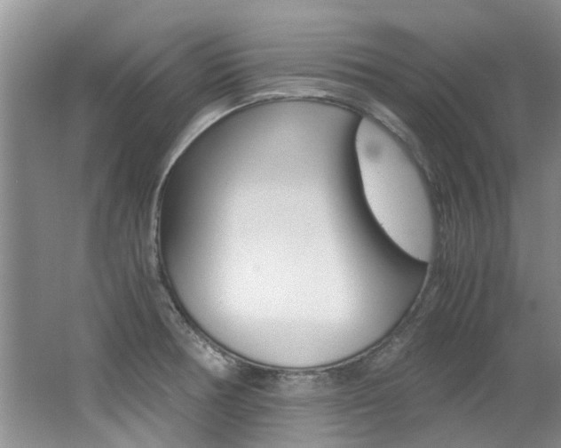 X0000062651378200512211022
