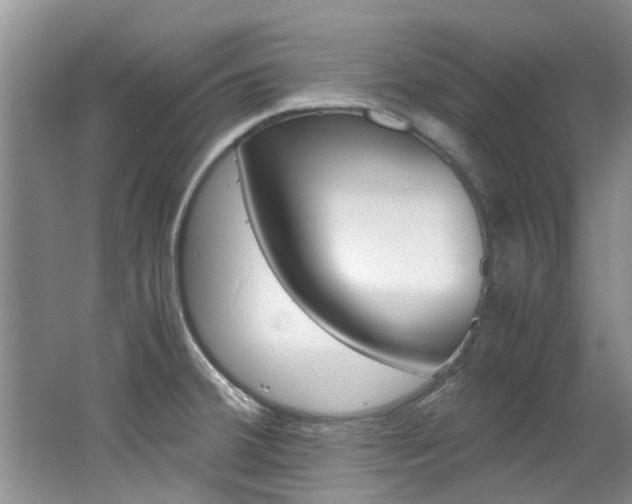 X0000062651380200512211022