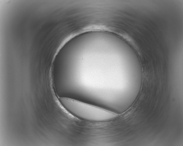 X0000062651382200512211022