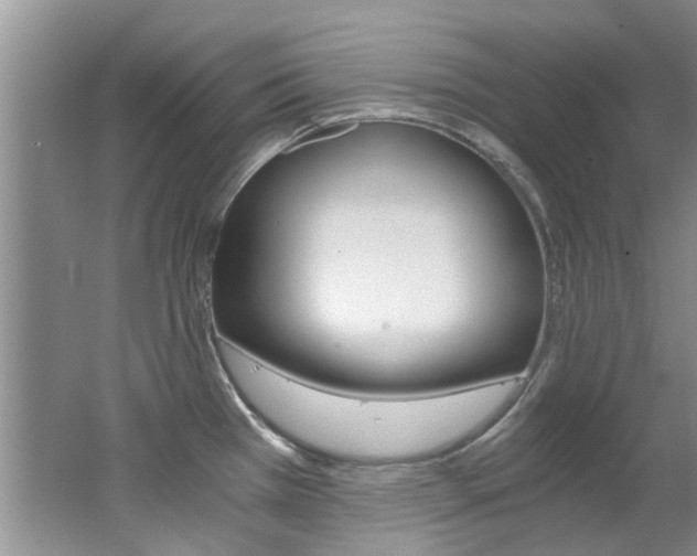 X0000062651385200512211022