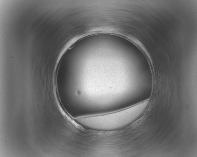 X0000062651389200512211022