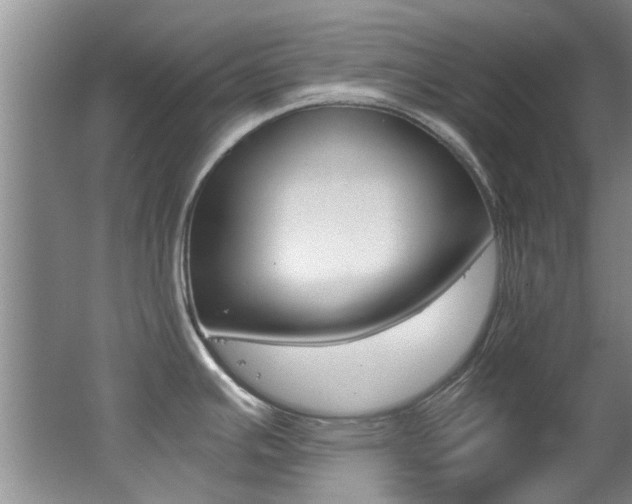 X0000062651391200512211022