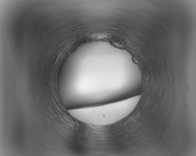 X0000062651393200512211021