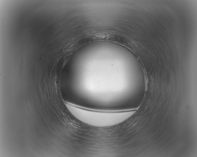 X0000062651394200512211021