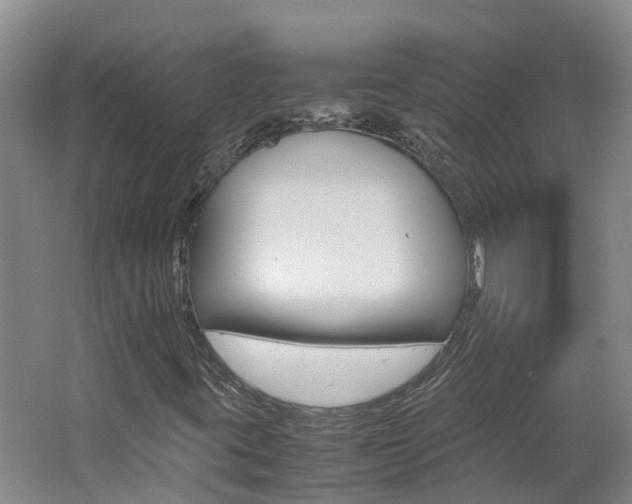 X0000062651395200512211021