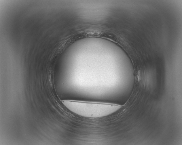 X0000062651396200512211021