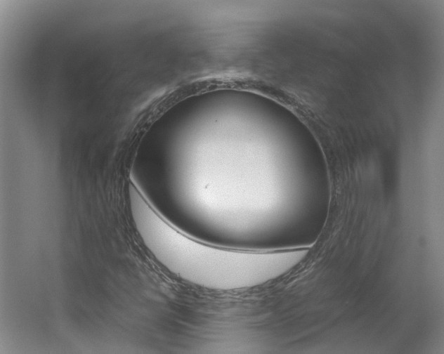 X0000062651398200512211021