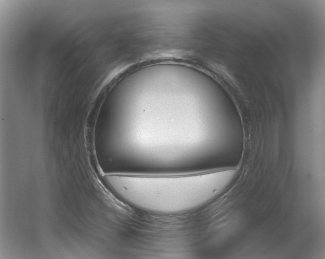 X0000062651404200512211022