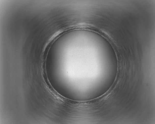 X0000062651410200512211022